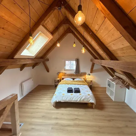Le Perchoir Du Koenigsbourg Appartement Kintzheim