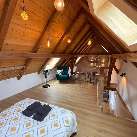 Le Perchoir Du Koenigsbourg Appartement Kintzheim